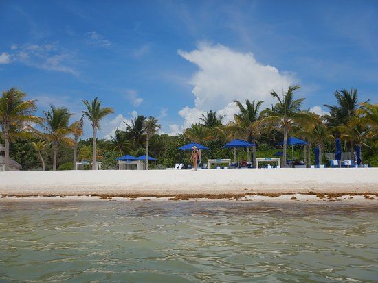 Dolphin Discovery Playa del Carmen Maroma